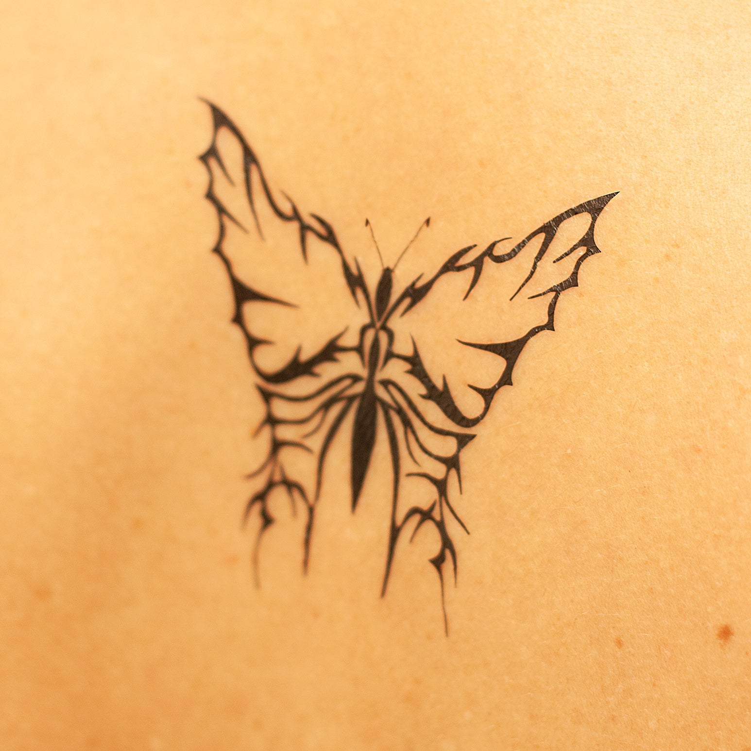TRIBAL BUTTERFLY